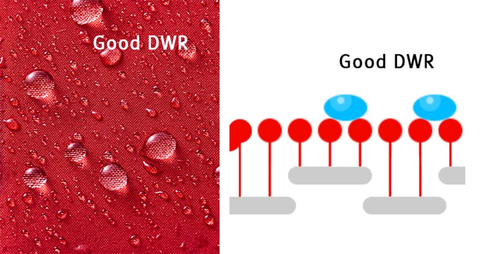 DWR
